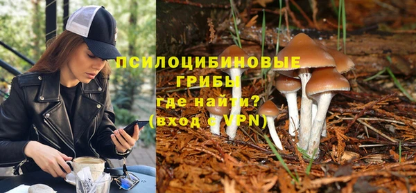 ешки Волоколамск