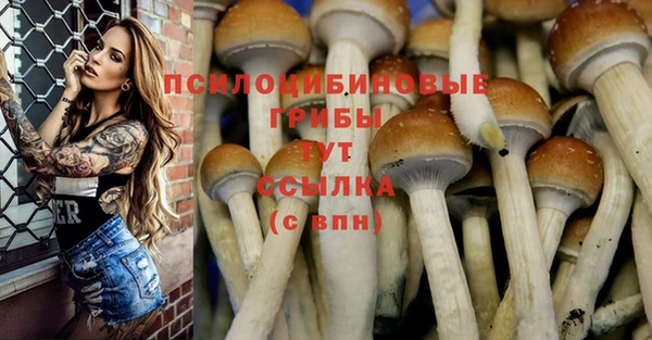 ешки Волоколамск