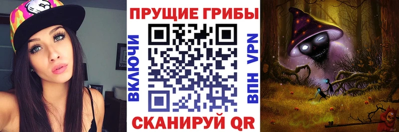 KRAKEN онион Братск Галлюциногенные грибы ЛСД